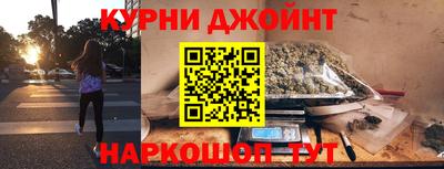 дживик Можга