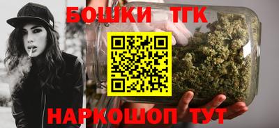 дживик Можга