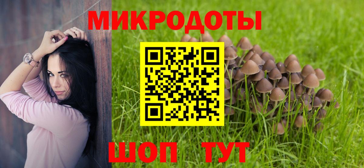 Псилоцибиновые грибы Psilocybe Тверь